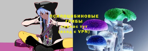 СК Горнозаводск