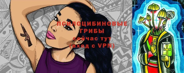 СК Горнозаводск
